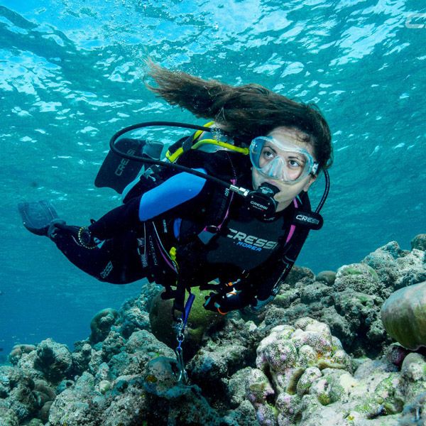 Salidas de buceo Cambrils All Blue Diving